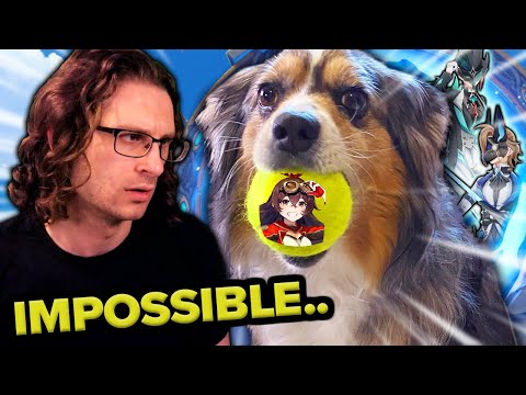 I Had My Dog Choose My Abyss Teams... | Genshin Impact