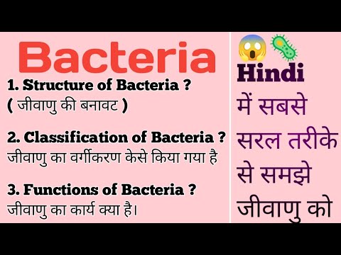 Bacteria Structure, Classification, Functions ( हिंदी ) जीवाणु का वर्गीकरण और कार्य हिंदी में