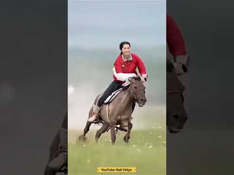 Horse Riding