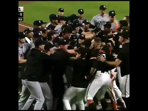 #Yankees vs #Orioles Brawl #shorts #mlb #reels #mlbbshorts #baseball #like #subscribe