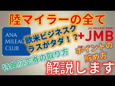 陸マイラーの全てを解説します。欧米ビジネスクラスの特典航空券取得、ポイントサイトでのポイントの貯め方など流れをわかりやすく説明します。