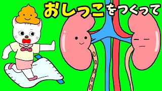 【アニメ 絵本読み聞かせ】オシッコを作って〜腎臓の知育アニメ〜