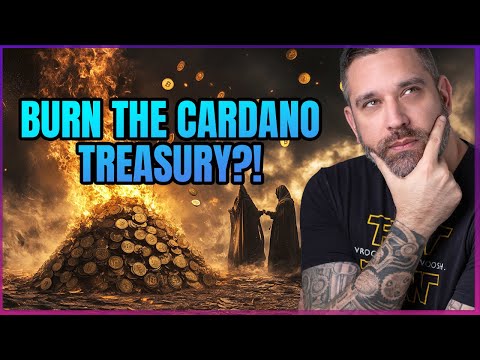 Burn The Cardano Treasury?!!