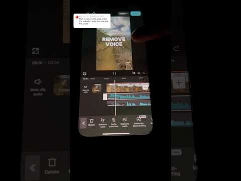 How to REMOVE VOICE or AUDIO in CapCut Tutorial
