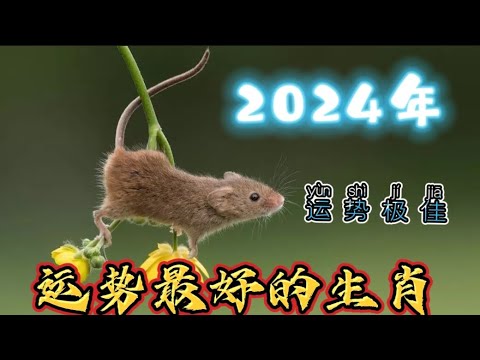 2024年运势最好的生肖 运势极佳