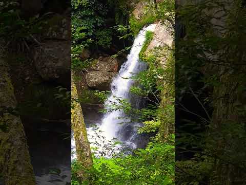 【癒し動画】熊本県山鹿市鹿北町　岳間渓谷　#松山千春　#shorts