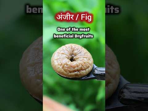 Ep-73 of Vedic Recipes (अंजीर फल/Fig benefits Ayurveda) Vata Pitta reducing Dryfruit #shorts