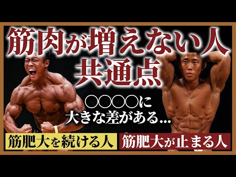 【誰もが壁にぶつかる...】筋肥大し続ける人に共通する特徴を今までの経験からお話しします。