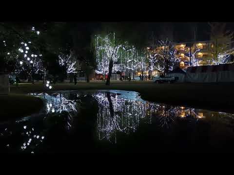 【illumination　学びの森・イルミネーション】　岐阜県各務原市（かかみがはらし）　2024年12月12日（木）　　Gifu-Japan