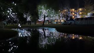 【illumination　学びの森・イルミネーション】　岐阜県各務原市（かかみがはらし）　2024年12月12日（木）　　Gifu-Japan