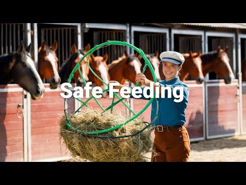 🐴🌾 Why You Should Use Hay Nets For Horses 🧵 | Health, Efficiency & Less Waste! ♻️