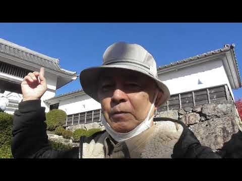 【木造再建賛成の立場から・新市長応援シリーズ】木造で再建された郡上八幡城を見学してきた（岐阜県）