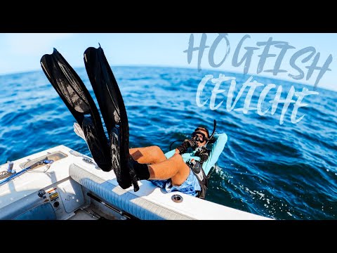 SHALLOW WATER DIVING FOR HOGFISH | HOGFISH CEVICHE  CATCH CLEAN COOK