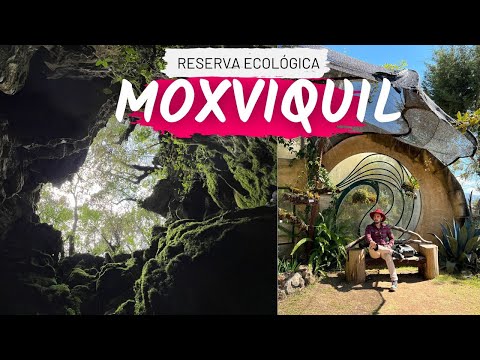 Reserva Ecológica Moxviquil, el jardín botánico de San Cristobal de las Casas Chiapas