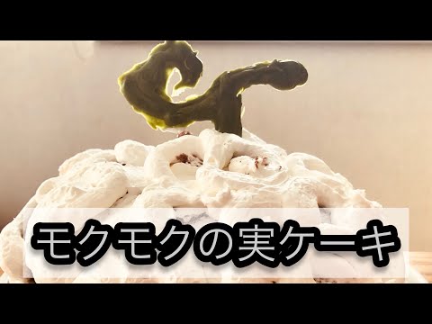 【ワンピース】モクモクの実をケーキで再現！