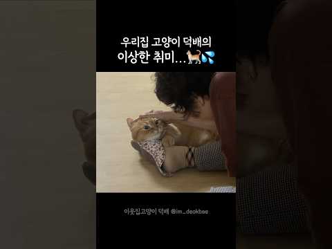 조금 이상한(?) 취미를 가진 고양이🐈💦