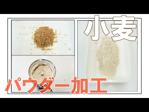 【全粒粉】コナッピーで小麦をパウダー加工