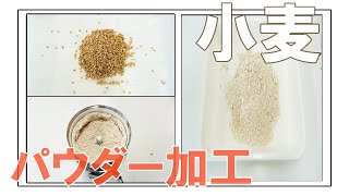 【全粒粉】コナッピーで小麦をパウダー加工