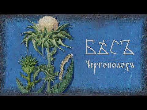 БѢСЪ / BES - Чертополохъ / Thistle (Lyric video)