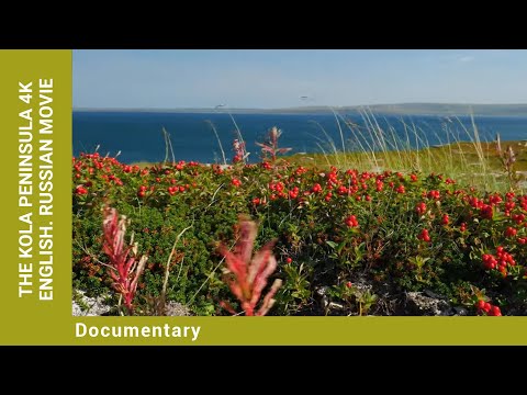 THE KOLA PENINSULA 4K English. Russian Movie. Documentary. English Dubbing