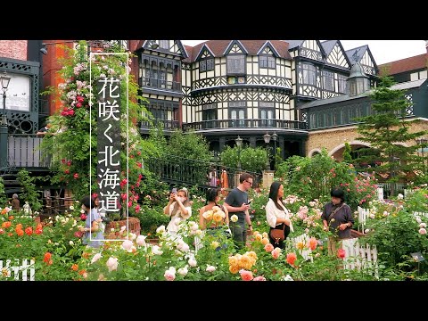 【Private Gardens】The Private Gardens of Confectionery Manufacturers in Hokkaido #rose #roses