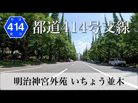 東京都道414号四谷角筈線 支線 (明治神宮外苑 いちょう並木) [4K/車載動画]