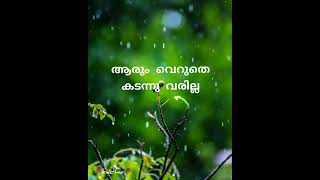 malayalam whatsapp status video❤️