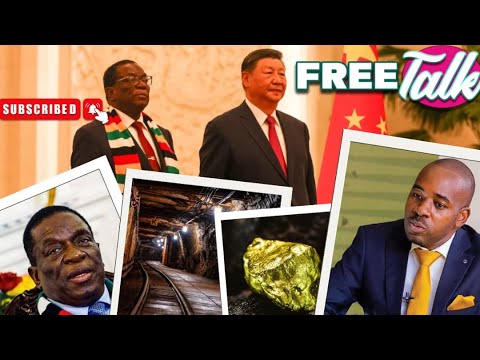 Exposing the looting and exploitation of Zim mineral resource by China  #hstvzim #freetalk