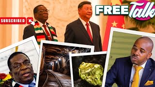 Exposing the looting and exploitation of Zim mineral resource by China  #hstvzim #freetalk