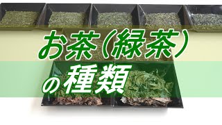 【お茶の種類】8種の緑茶の種類を徹底解説