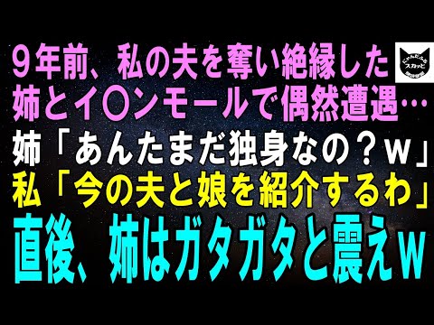 【スカッとする話】9年前、私の夫を奪い絶縁した姉とイオ〇モールで偶然遭遇…姉「あんたまだ独身なの？ｗ」私「今の夫と娘を紹介するわ」直後、私の家族を見た姉はガタガタと震えｗ【修羅場】