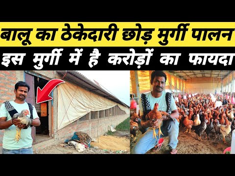 बालू की ठेकेदारी छोड़ शुरू किया ऑटोमेटिक मुर्गी फार्म | Poultry farming में नुकसान से कैसे बचें