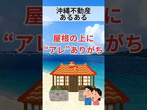 【沖縄不動産あるある】屋根の上に"アレ"ありがち#shorts #breo#沖縄#マンション #不動産#沖縄移住#沖縄不動産#あるある#沖縄あるある#不動産あるある