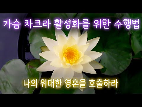 가슴 차크라 활성화를 위한 명상 | 나의 위대한 영혼을 호출하라