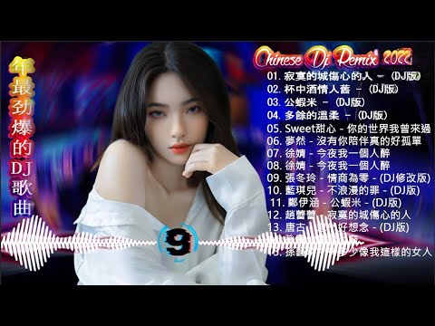 Chinese DJ 2022 高清新2022夜店混音 : 不過人間/少年愁/丢了你 - 井胧/你的万水千山/旧梦一场 - 阿悠悠/山水组合 - 你莫走 - 2022最火歌曲dj