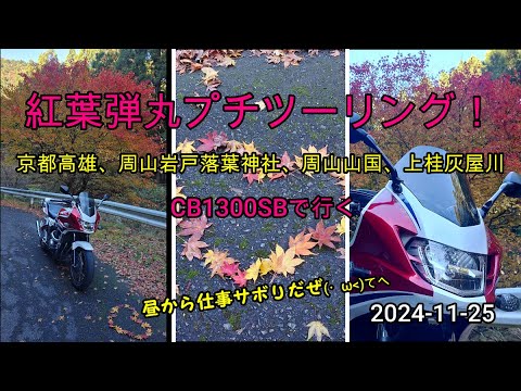 2024 -11-25 CB1300SBで行く京都高雄、周山岩戸落葉神社、上桂灰屋川、紅葉弾丸プチツーリング！