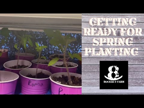 Get Those Seeds Started In Cen TX | Central Texas Garden