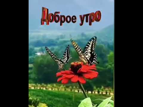 С Добрым утром! Самого лучшего вам настроения!