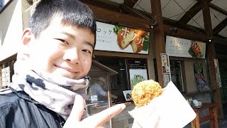 わさび コロッケ 本わさび ソフトクリーム 【 大王わさび農園 安曇野 】