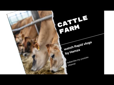 visit a Cattle 🐄 farm…