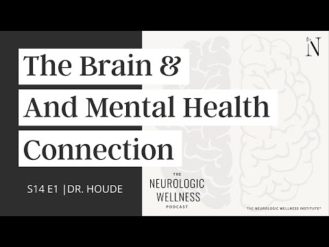 The Brain & Mental Health Connection