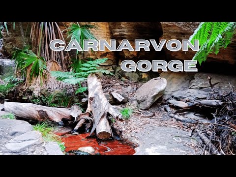 Carnarvon Gorge - Outback to Oceans Ep 2