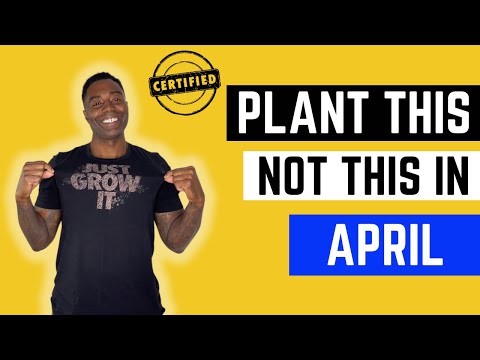 What can I plant this month? April Planting Schedule : Zone 9