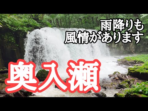 【青森観光】夏の奥入瀬渓流　雨降りも風情があります　撮影：2024年7月27日