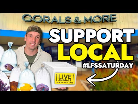 We Bought Coral From 6 Local Fish Stores in 6 Hours for LFS Saturday!