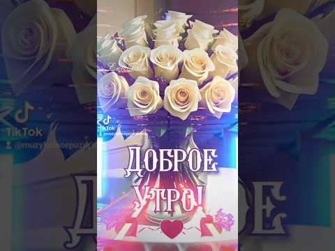 #доброеутро #