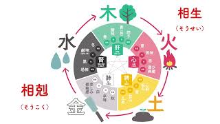 【東洋医学の基礎】五行説について