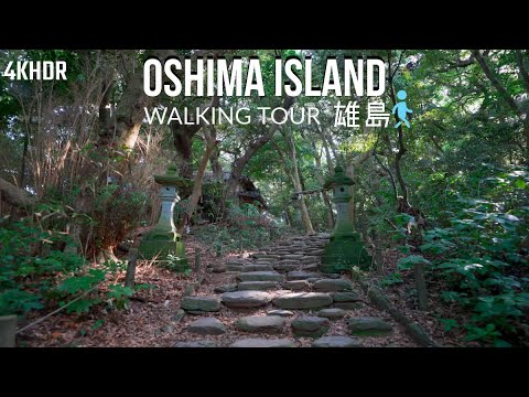 [4KHDR]Walking around Oshima Island, also known as God's Island clockwise [Japan]散策 神の島とも言われる雄島散策 福井