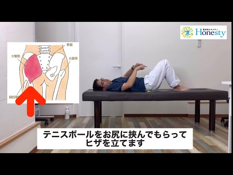 【3分動画】辛い腰痛を寝ながら解消するボールマッサージ！大臀筋ほぐし！