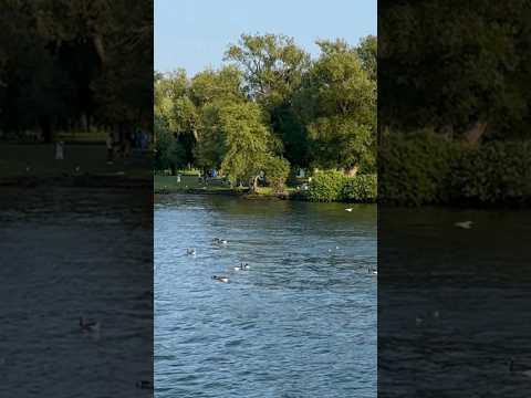 View of Toronto Island Park in Lake Ontario, from the ferry!